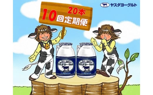 【10ヶ月定期便】 ヤスダヨーグルト 150g×20本×10回 小ボトル  無添加 搾りたて こだわり生乳 濃厚 飲むヨーグルト のむよーぐると ヨーグルト 1B10091新潟県阿賀野市91000卵・乳製品牛乳・乳飲