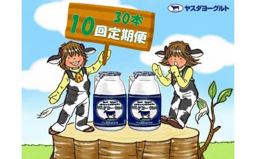 【10ヶ月定期便】ヤスダヨーグルト 150g×30本×10回 小ボトル 無添加 搾りたて こだわり生乳 濃厚 飲むヨーグルト のむよーぐると ヨーグルト 1B15131新潟県阿賀野市131000卵・乳製品牛乳・乳飲