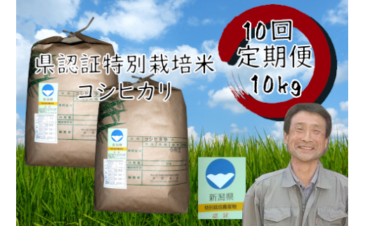 【令和7年産新米】【10か月定期便】特別栽培米 コシヒカリ 10kg×10回 新潟県認証  1G03401新潟県阿賀野市401000米・パン白米