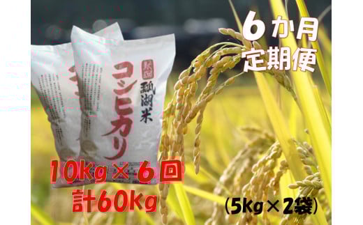 【 令和7年産新米 】【6ヶ月定期便】新潟産 コシヒカリ「瓢湖米」 10kg×6回 1N12201新潟県阿賀野市201000米・パン白米