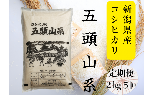 【令和7年産新米】【5回定期便】「米屋のこだわり阿賀野市産」コシヒカリ2kg×5回 1E19035新潟県阿賀野市35000米・パン白米