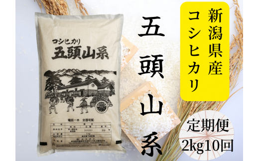 【令和7年産新米】【10回定期便】「米屋のこだわり阿賀野市産」コシヒカリ2kg×10回 1E20067新潟県阿賀野市67000米・パン白米