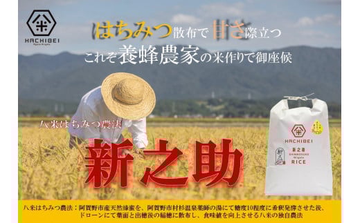 【令和7年産新米】【グッドライフアワード環境大臣賞受賞】無洗米 新之助 5kg 農家直送 ほんのり甘い「はちみつ農法」 白米 精米 HACHIBEI 八米  1L19022新潟県阿賀野市22000米・パン無洗米
