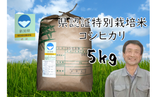 【令和7年産新米】【6か月定期便】特別栽培米 コシヒカリ 5kg×6回 新潟県認証 1G15121新潟県阿賀野市121000米・パン白米