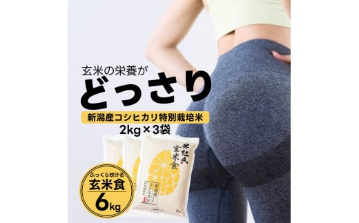 yߘa7NYVāzyъŕʂɐ錺āz ӂ猺ĐH 6kgi2kg×3j VsY ēm 됬 ʍ͔|RVqJ 1H31023Vs23000āEpāEGāEāE