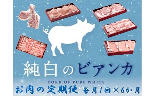 【6か月定期便】純白のビアンカコース 毎月違うお肉をお届け 計4kg超 豚バラ 豚ロース 骨付き ポークステーキ しゃぶしゃぶ 焼肉 豚肉 ぶた ぶた肉 肉 お肉 国産 冷凍 BBQ 新鮮 新潟県 阿賀野