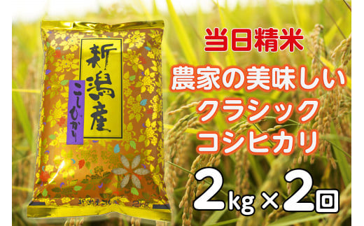 【令和7年産新米】【2ヶ月定期便】 当日精米! 農家直送 美味しい クラシックコシヒカリ 2kg×2回 計4kg 精米 白米 水原町農産センター 1F20015新潟県阿賀野市15000米・パン白米