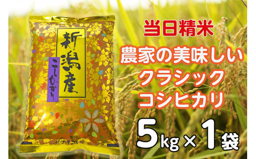 【令和7年産新米】 当日精米! 農家直送 美味しい クラシックコシヒカリ 5kg 精米 白米 水原町農産センター 1F22018新潟県阿賀野市18000米・パン白米