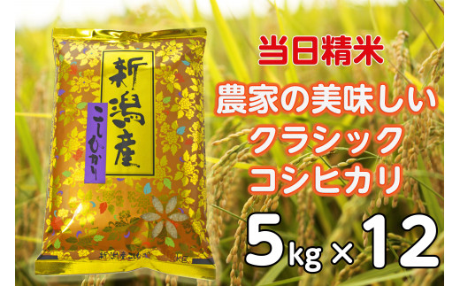 yߘa7NYVāzy12ցz ! _ƒ  NVbNRVqJ 5kg×12 v60kg   _YZ^[ 1F29201Vs201000āEp