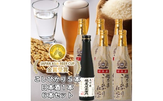 ビール スワンレイクビール 世界一金賞受賞入り こしひかり仕込みビール5本&白龍酒造特撰大吟醸1本 詰め合わせ 阿賀野市 新潟県 阿賀野 クラフト 飲み比べ クラフトビール 地ビール ビー
