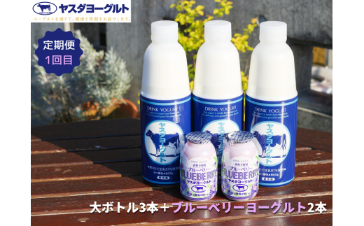 【3ヶ月定期便】ヤスダヨーグルト ちょい足しフルーツセレクションセットお試し便 大ボトル800g×3本+小ボトル150g2本  無添加 搾りたて こだわり生乳 濃厚 飲むヨーグルト のむよーぐると