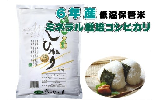 【数量限定】令和6年産 ミネラル栽培こしひかり 5kg 白米 精米 井上米穀店 1I25013新潟県阿賀野市13000米・パン白米