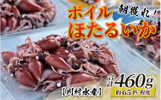 【先行予約】ボイルほたるいか 鶴瓶の家族に乾杯で放送5.13 ※着日指定は備考欄へ【26年3月中旬以降順次発送】川村水産【川村水産 ケンミンショー 冷蔵 ホタルイカ 蛍烏賊 朝どれ 朝獲れ