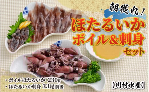【先行予約】ほたるいか ボイル&刺身セット 鶴瓶の家族に乾杯で放送5.13【26年3月中旬以降順次発送】※発送前に在宅確認の電話連絡をいたします!【川村水産 ケンミンショー 冷蔵 ホタル