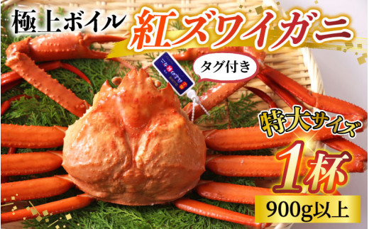【順次配送中】タグ付き極上ボイル紅ズワイガニ 冷蔵配送 川村水産※発送前に在宅確認の電話連絡をいたします!【25年度9月下旬以降順次配送】【紅ズワイガニ カニ ズワイガニ 紅ずわい