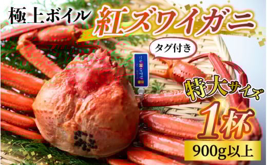 【順次配送中】タグ付き極上ボイル紅ズワイガニ 冷蔵配送 カネツル砂子商店※発送前に在宅確認の電話連絡をいたします!【25年度9月下旬以降順次配送】【紅ズワイガニ カニ ズワイガニ