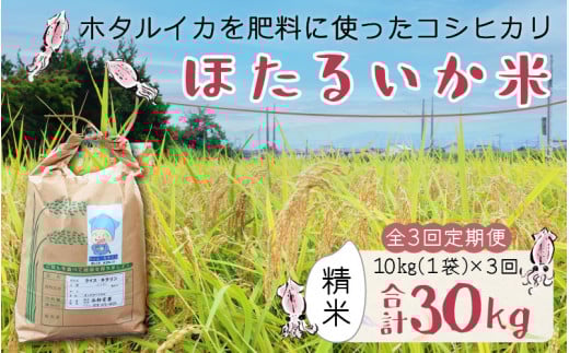 【先行予約】【新米】ほたるいか米(精米10kg)×3回 計30kg【3ヶ月定期便】25年10月開始【訳あり 米 コシヒカリ こしひかり ほたるいか ホタルイカ お米 ブランド米 富山 滑川】富山県滑川市9