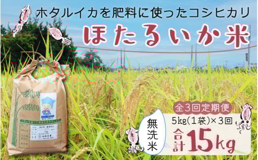 【先行予約】【新米】ほたるいか米(無洗米5kg)×3回 計15kg【3ヶ月定期便】25年10月開始【訳あり 米 コシヒカリ こしひかり ほたるいか ホタルイカ お米 ブランド米 富山 滑川】富山県滑川