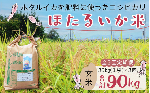 【訳あり】ほたるいか米(玄米30kg)×3回 計90kg【3ヶ月定期便】【訳あり 米 コシヒカリ こしひかり ほたるいか ホタルイカ お米 ブランド米 富山 滑川】富山県滑川市180000米・パン白米