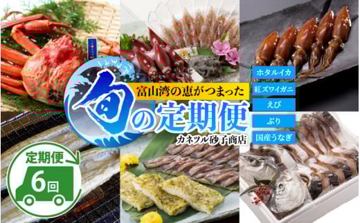 【数量限定】富山湾の恵がつまった カネツル旬の定期便(ホタルイカ、紅ズワイガニ、えび、ぶり、国産うなぎ)【 頒布会 人気 旬 おつまみ ご当地 定期 珍味 海鮮 カネツル砂子商店 ほた