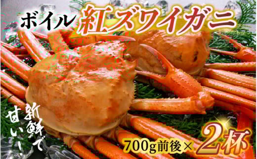 【順次配送中】ボイル紅ズワイガニ 大サイズ 冷蔵配送 ※発送前に在宅確認の電話連絡をいたします!【25年度9月下旬以降順次配送】カネツル砂子商店【ゆで蟹 焼きがに 紅ズワイガニ カニ