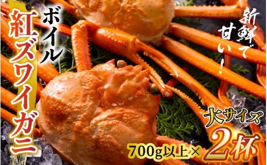 【順次配送中】ボイル紅ズワイガニ 大サイズ 冷蔵配送 川村水産※発送前に在宅確認の電話連絡をいたします!【25年度9月下旬以降順次配送】ゆで 蟹 ずわい 茹で蟹 茹で ゆでがに ボイル