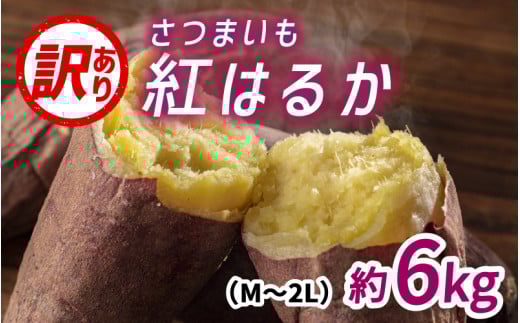 ys\zTc}Cig͂邩jTCYs̖󂠂iM`2Lj6kg@10{珇\xRs14000؁ÊႪEC