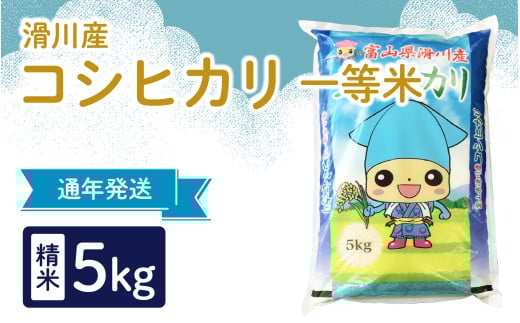【先行予約】【新米】滑川産コシヒカリ(精米5kg)25年10月以降順次配送予定富山県滑川市24000米・パン白米