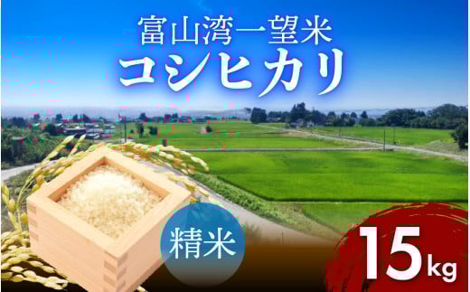 【先行予約】新米 富山湾一望米 コシヒカリ 精米 【容量15kg】【2025年10月より順次発送】農家直送 米 定期便 選べる 精米 富山県滑川産お米 産地直送 袋 ブランド米 お米 白米 こしひかり富