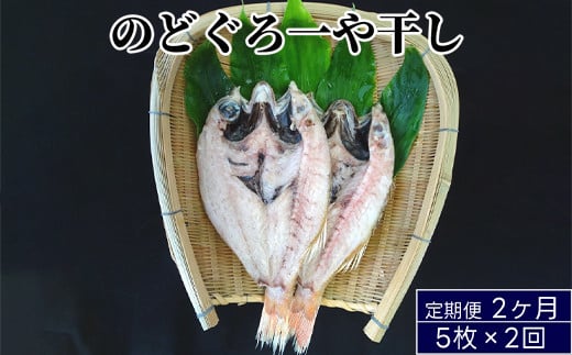 ̂ǂ銱 5×2񂨓͂xRːs59000ECYN