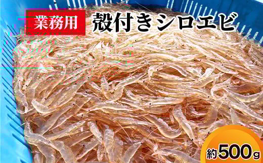 業務用殻付きシロエビ500g富山県射水市27000魚介・海産物エビ