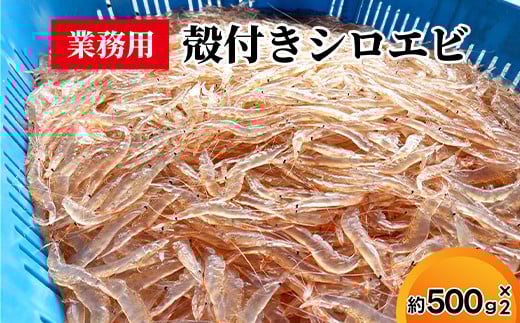業務用殻付きシロエビ500g×2富山県射水市47000魚介・海産物エビ