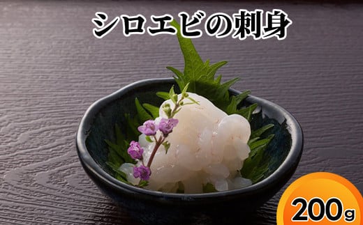 シロエビの刺身200g富山県射水市30000魚介・海産物エビ