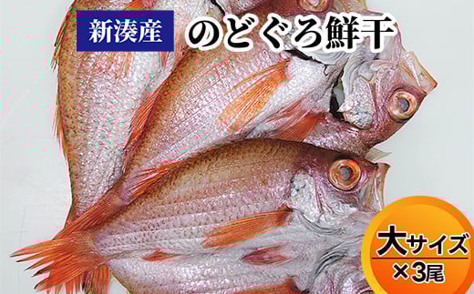 【新湊産】のどぐろ鮮干し(大サイズ3尾)富山県射水市55000魚介・海産物鮮魚