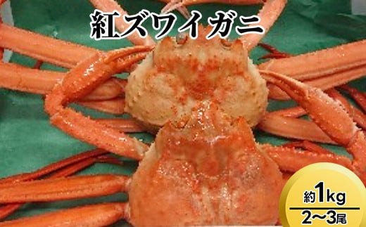 【おすすめ】紅ズワイガニ約1kg(2〜3尾)【棚辺水産】※2025年9月中旬〜2026年3月下旬頃に順次発送予定 ※離島への配送不可富山県射水市22000魚介・海産物カニ