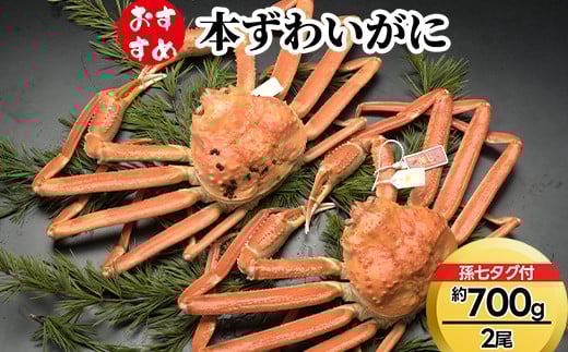 y߁z{킢ɖ700g×2i^Otj 2025N11{`2026N3{ɏ\xRːs89000ECYJj
