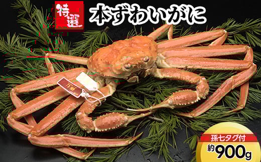 【特選】本ずわいがに約900g(孫七タグ付) ※2025年11月中旬〜2026年3月中旬頃に順次発送予定富山県射水市89000魚介・海産物カニ