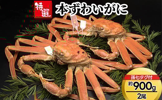 【特選】本ずわいがに約900g×2尾(孫七タグ付き) ※2025年11月中旬〜2026年3月中旬頃に順次発送予定富山県射水市165000魚介・海産物カニ