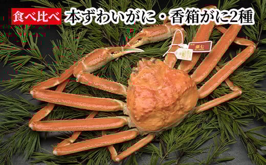 【食べ比べ】本ずわいがに・香箱がに2種 ※2025年11月中旬〜2026年1月上旬頃に順次発送予定富山県射水市55000魚介・海産物カニ