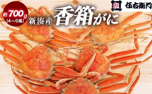 yމEqzVY4`6iv700gjbCN j W܂ YCKj  ~̖o 䥂ł VN Y xRY ւ̔zs 2025N11{`12{ ܂1