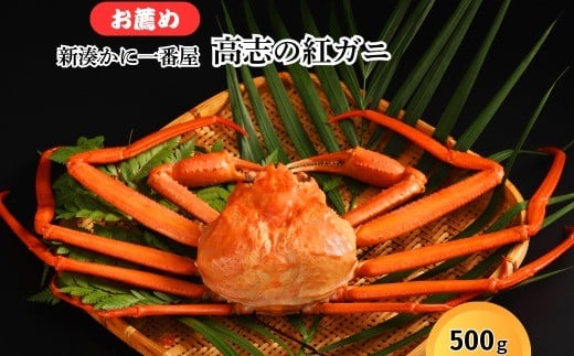 新湊かに一番屋【お薦め】高志の紅ガニ500g ズワイガニ 紅ずわいがに カニ 蟹 富山県 射水市 ※2025年10月上旬〜2026年4月中旬頃に順次発送 ※北海道・沖縄・離島への配送不可富山県射水市