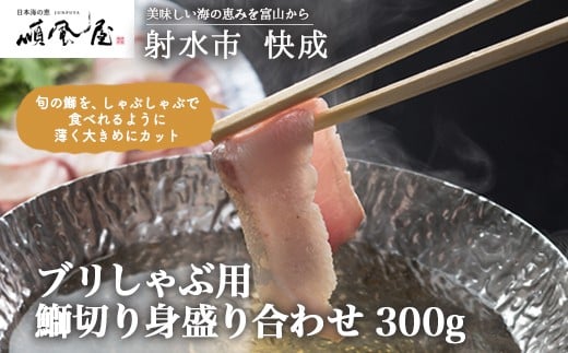 yːszyː̂HizyCNzuԗp@ܐ؂g荇킹 300g@ւ̔zs@2025N12{`2026N1{ɏ\xRːs14000ECY