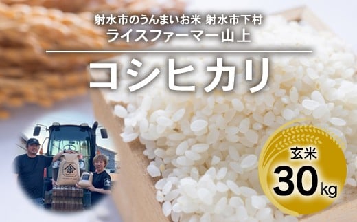 【射水市】【ライスファーマー山上】【農家直送】【射水の美味しいお米】R7年産コシヒカリ30kg【玄米】 ※離島への配送不可富山県射水市67000米・パン白米