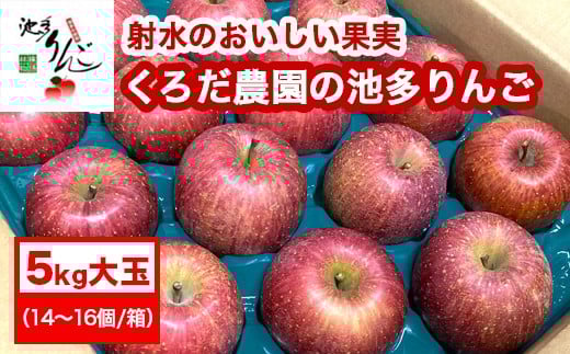 yː̂ʎzyьz낾_̒r 5kgʁi14`16^j Eꌧւ̔zs 2025N11{`2026N1{ɏ\xRːs18000ʕEt