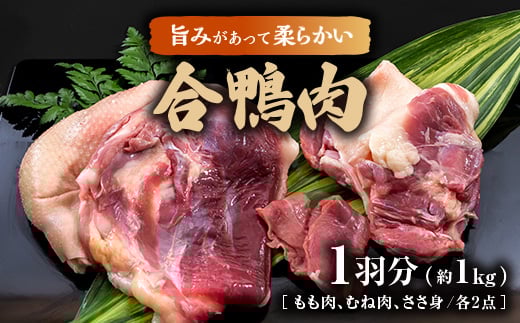 @1H(Aނ˓Ag@e2)y1278582zxRP23000WrG