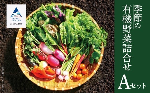 西田農園 季節の有機野菜詰合せ Aセット 野菜食べ比べ 旬の野菜 野菜セット オーガニック野菜 有機栽培 石川県 小松市石川県小松市12000野菜・きのこその他 野菜