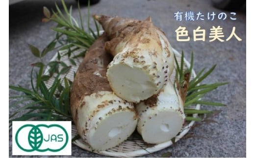 【来春先行予約】有機JAS認証  白子たけのこ 「色白美人」 3.5kg石川県小松市39000野菜・きのこその他 野菜