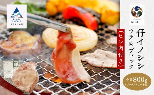 仔イノシシ ウデ肉 ブロック(ヒレ肉付き)800g石川県小松市12000肉ジビエ