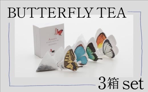 BUTTERFLY TEA / 3箱セット石川県小松市12000お茶・飲料コーヒー・紅茶