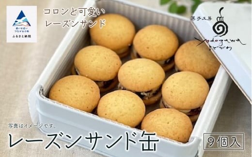 焼き菓子 クッキー レーズンサンド缶(缶入り)9個 冷凍石川県小松市7000菓子・スイーツケーキ・カステラ